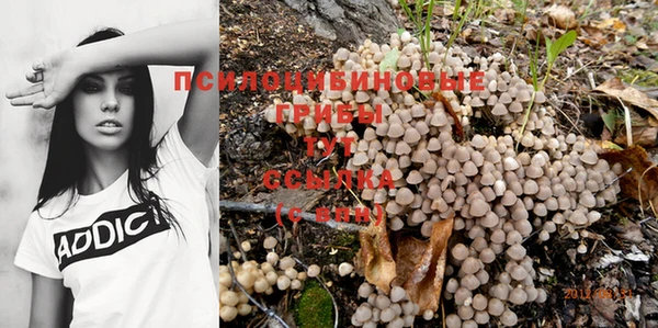 индика Каменск-Шахтинский