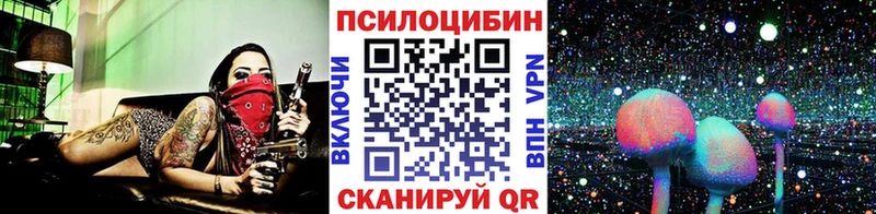 Купить  Сухиничи  Галлюциногенные грибы GOLDEN TEACHER 