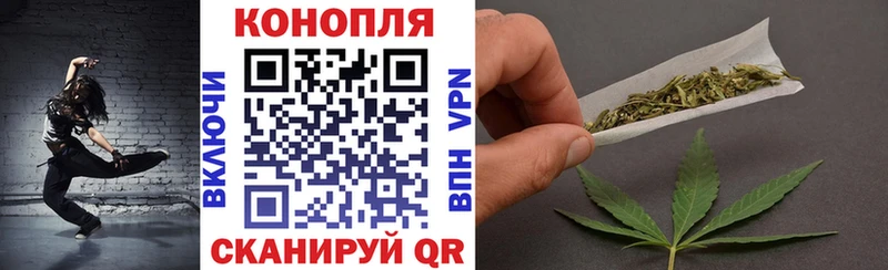 Купить где Сухиничи Каннабис ГИДРОПОН